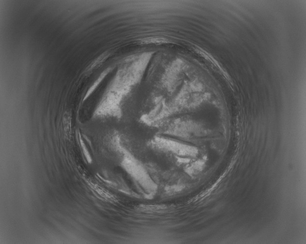 X0000082990825200702230057