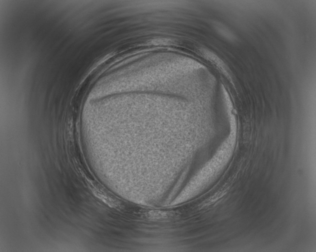 X0000082990827200702230057