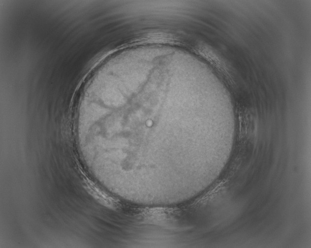 X0000082990828200702230057