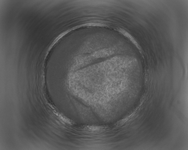 X0000082990829200702230058