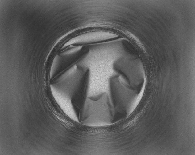 X0000082990830200702230058