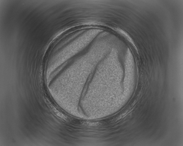 X0000082990831200702230058