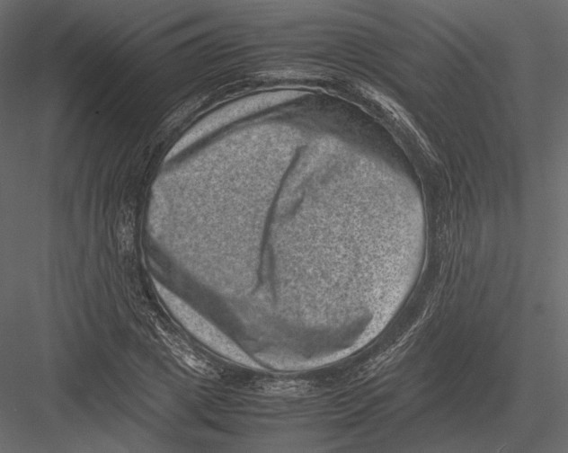 X0000082990833200702230058