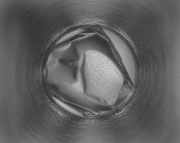 X0000082990834200702230058