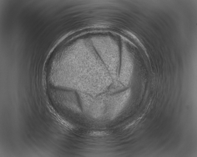 X0000082990835200702230058