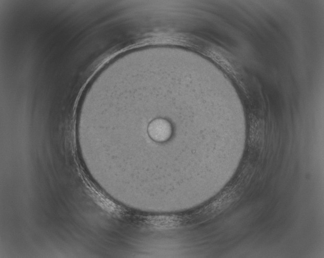 X0000082990836200702230058