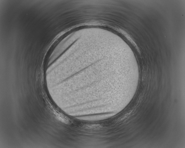 X0000082990837200702230058