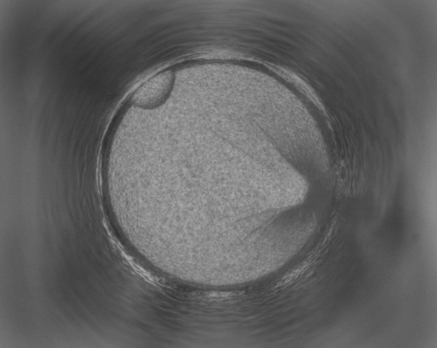 X0000082990839200702230058