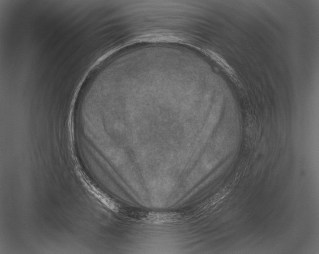 X0000082990840200702230058