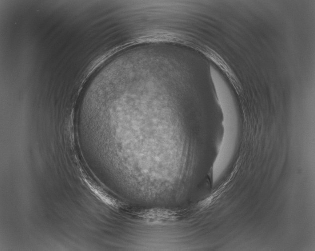 X0000082990842200702230058