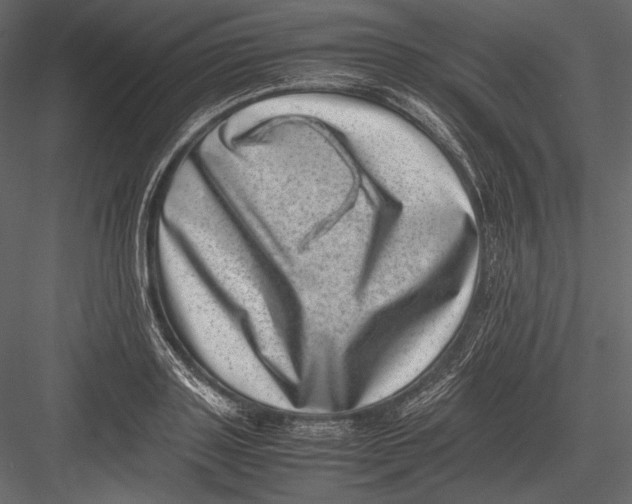 X0000082990843200702230058