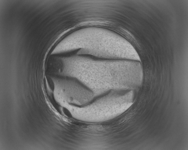 X0000082990844200702230058