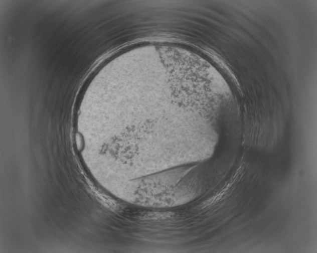 X0000082990845200702230058