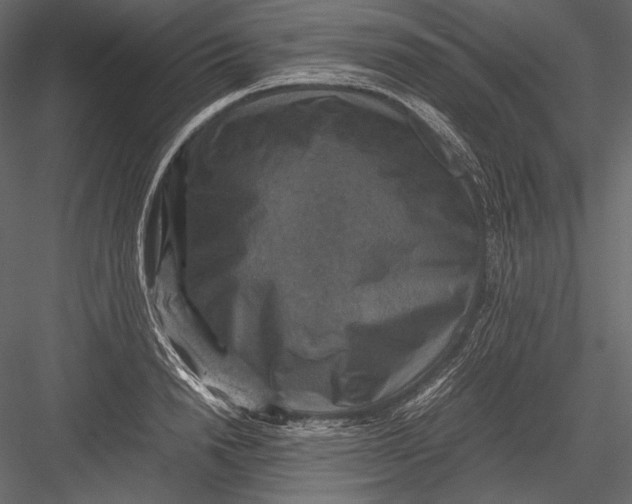 X0000082990846200702230058