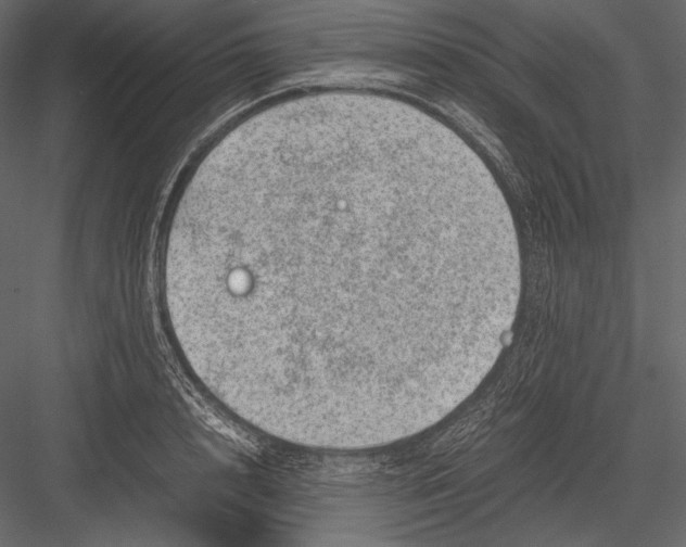 X0000082990848200702230058