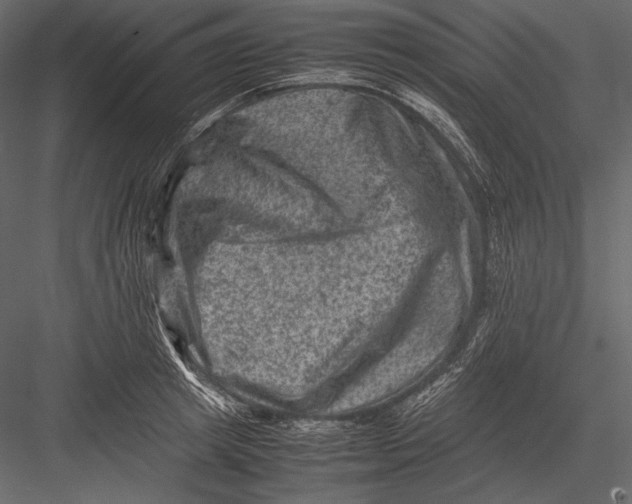 X0000082990849200702230058