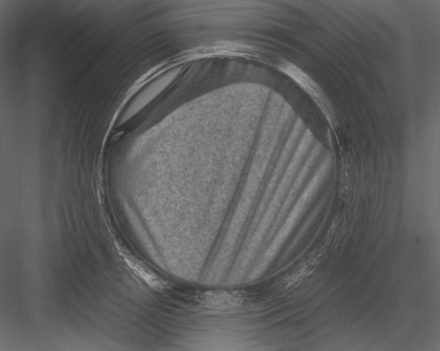 X0000082990850200702230058