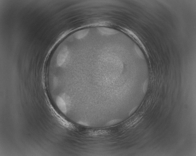 X0000082990851200702230058