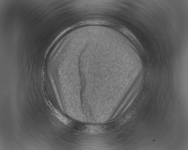 X0000082990852200702230058