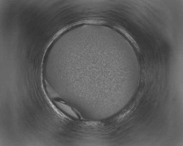 X0000082990853200702230058