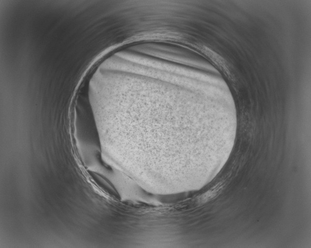 X0000082990854200702230058