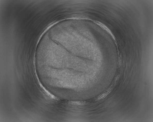 X0000082990855200702230058