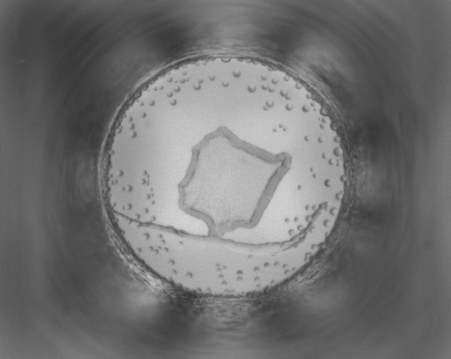 X0000082990856200702230058