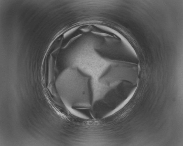 X0000082990858200702230058