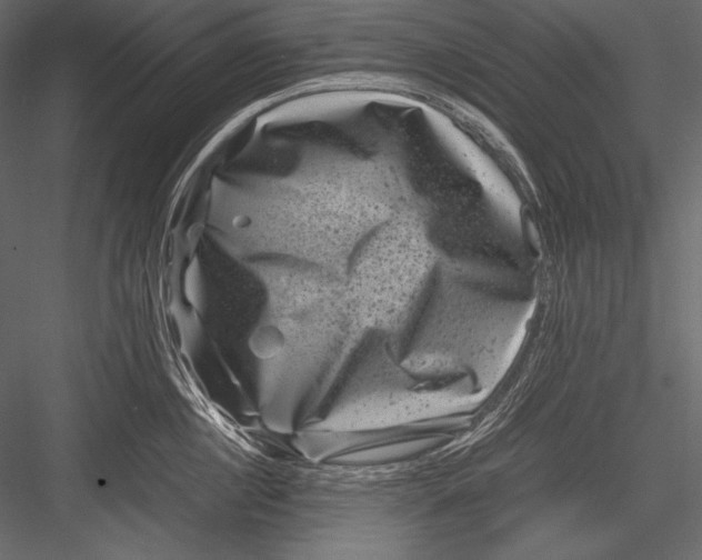 X0000082990860200702230058