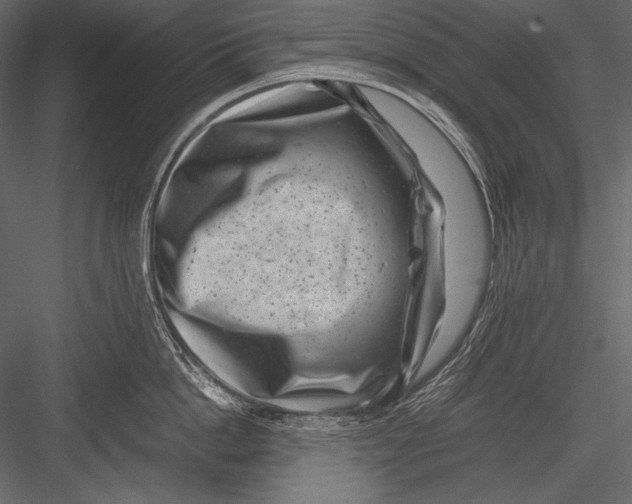 X0000082990862200702230058