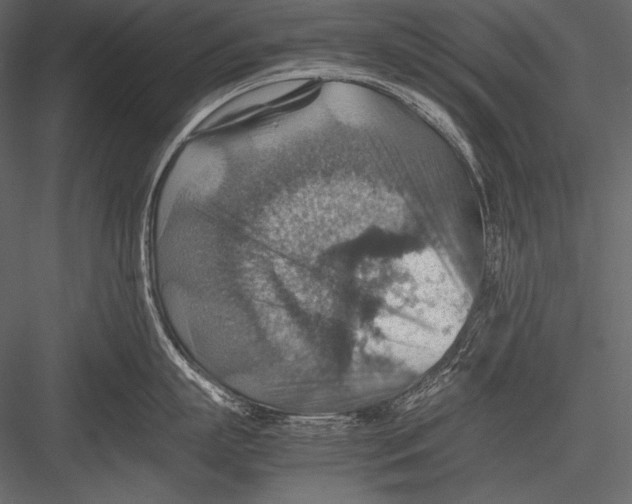 X0000082990863200702230058