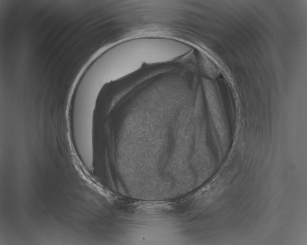 X0000082990864200702230058