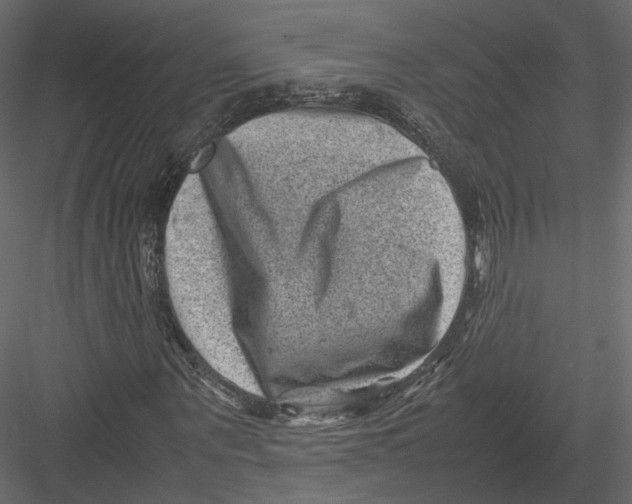 X0000082990867200702230057