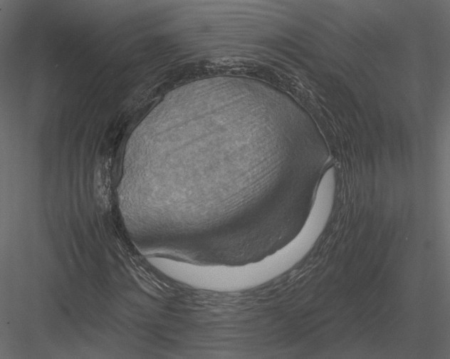 X0000082990868200702230057