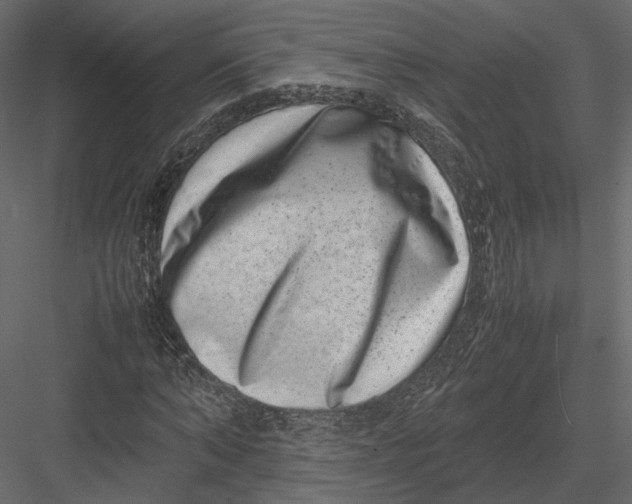 X0000082990870200702230057