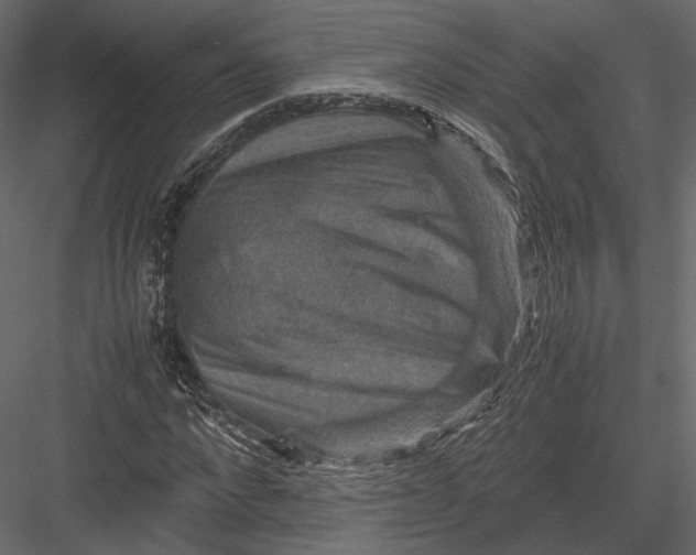 X0000082990872200702230057