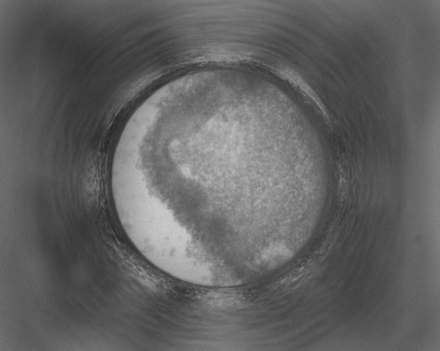 X0000082990874200702230057