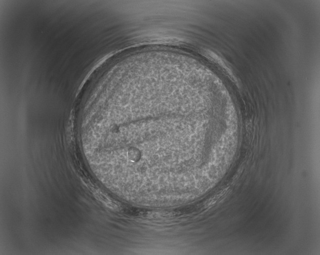 X0000082990875200702230057