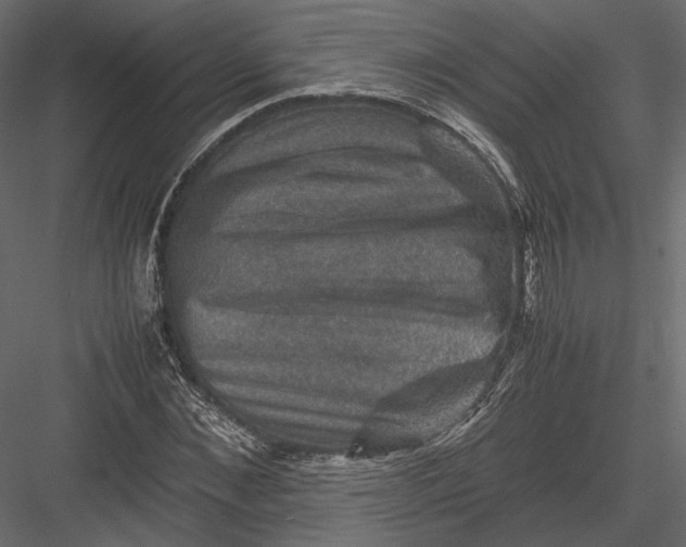 X0000082990876200702230057