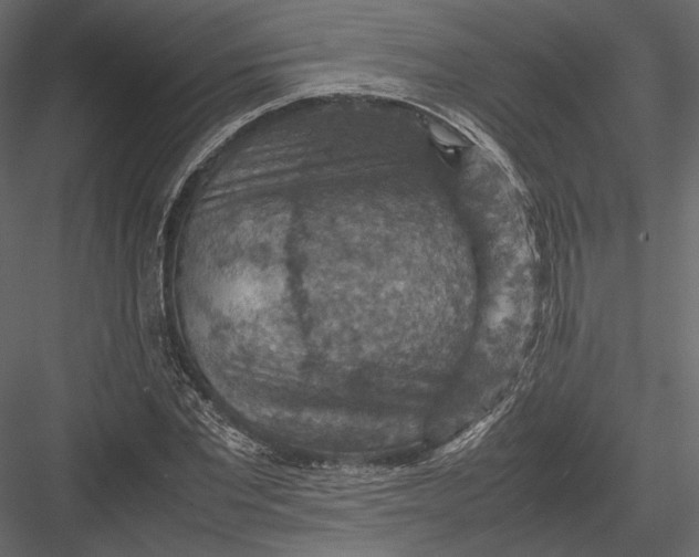 X0000082990877200702230057