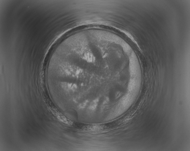 X0000082990879200702230057