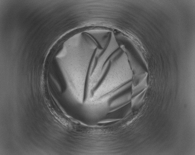 X0000082990880200702230057