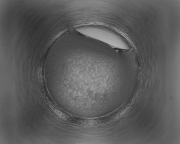 X0000082990881200702230057