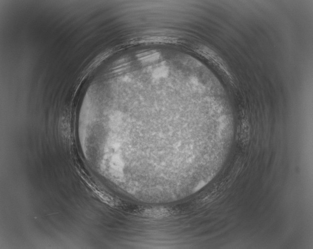 X0000082990882200702230057