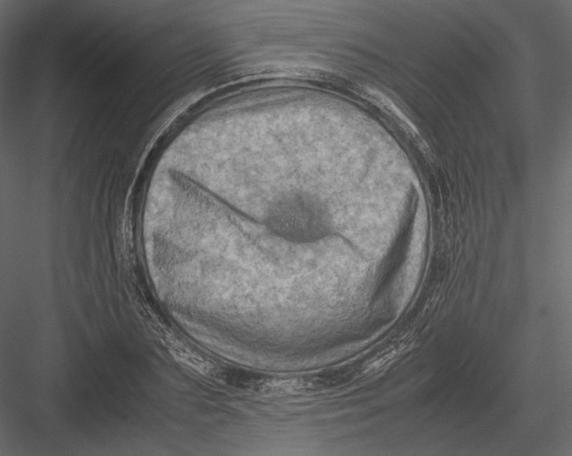 X0000082990883200702230057