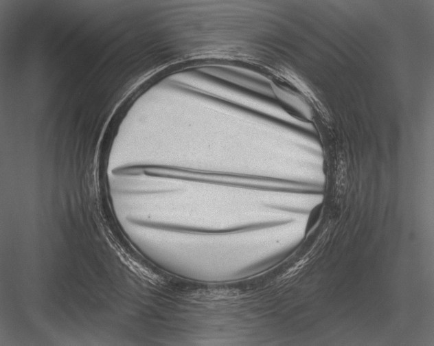 X0000082990884200702230057