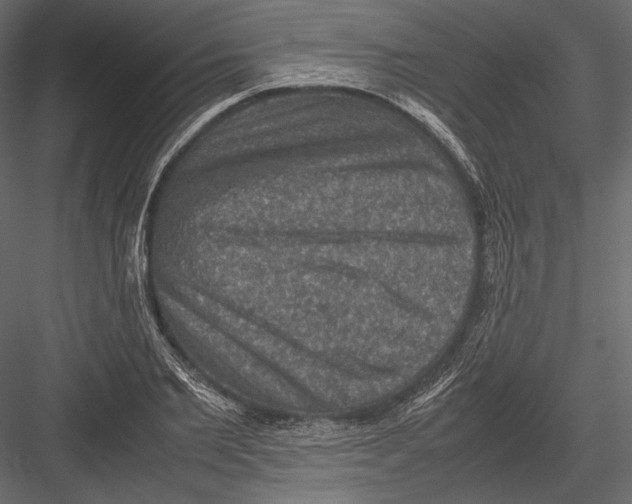 X0000082990885200702230057