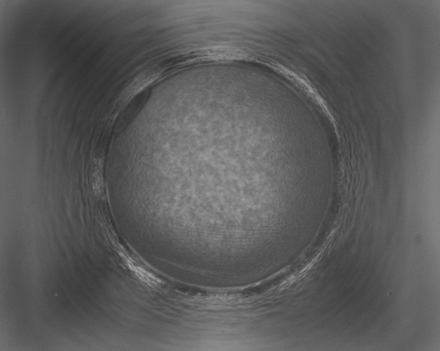 X0000082990889200702230057