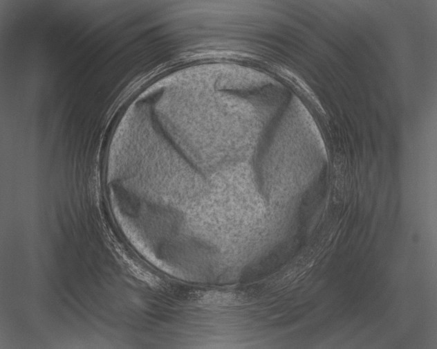 X0000082990890200702230057