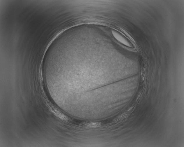 X0000082990891200702230057